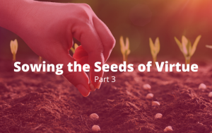 Read more about the article Sowing the Seeds of Virtue, Part 3: Training in Habits