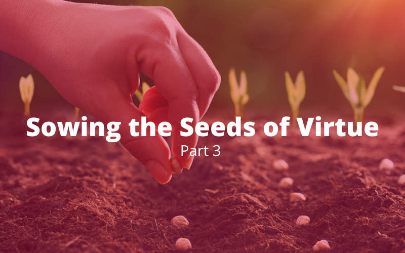You are currently viewing Sowing the Seeds of Virtue, Part 3: Training in Habits