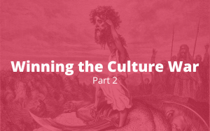 Read more about the article Winning the Culture War, Part 2: Create a Compelling Counter-Culture