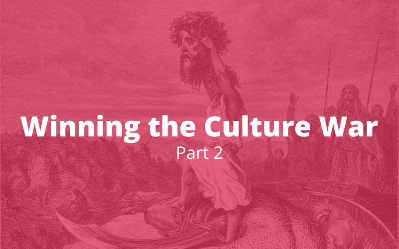 You are currently viewing Winning the Culture War, Part 2: Create a Compelling Counter-Culture