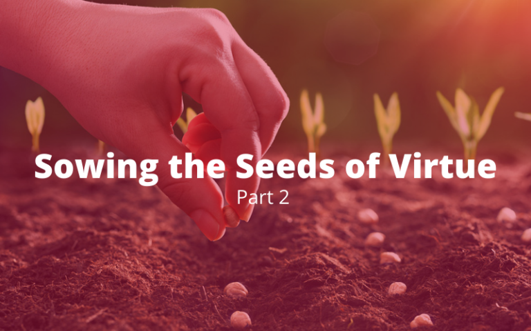 Sowing the Seeds of Virtue, Part 2: Stocking the Memory